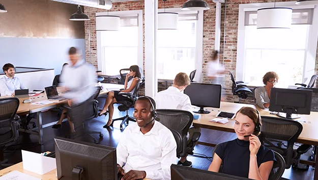 Employees Working In The Office